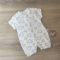 пісочник 